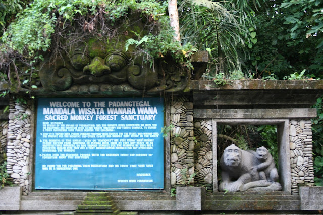 endonezya-bali-maymun ormani-monkey forest