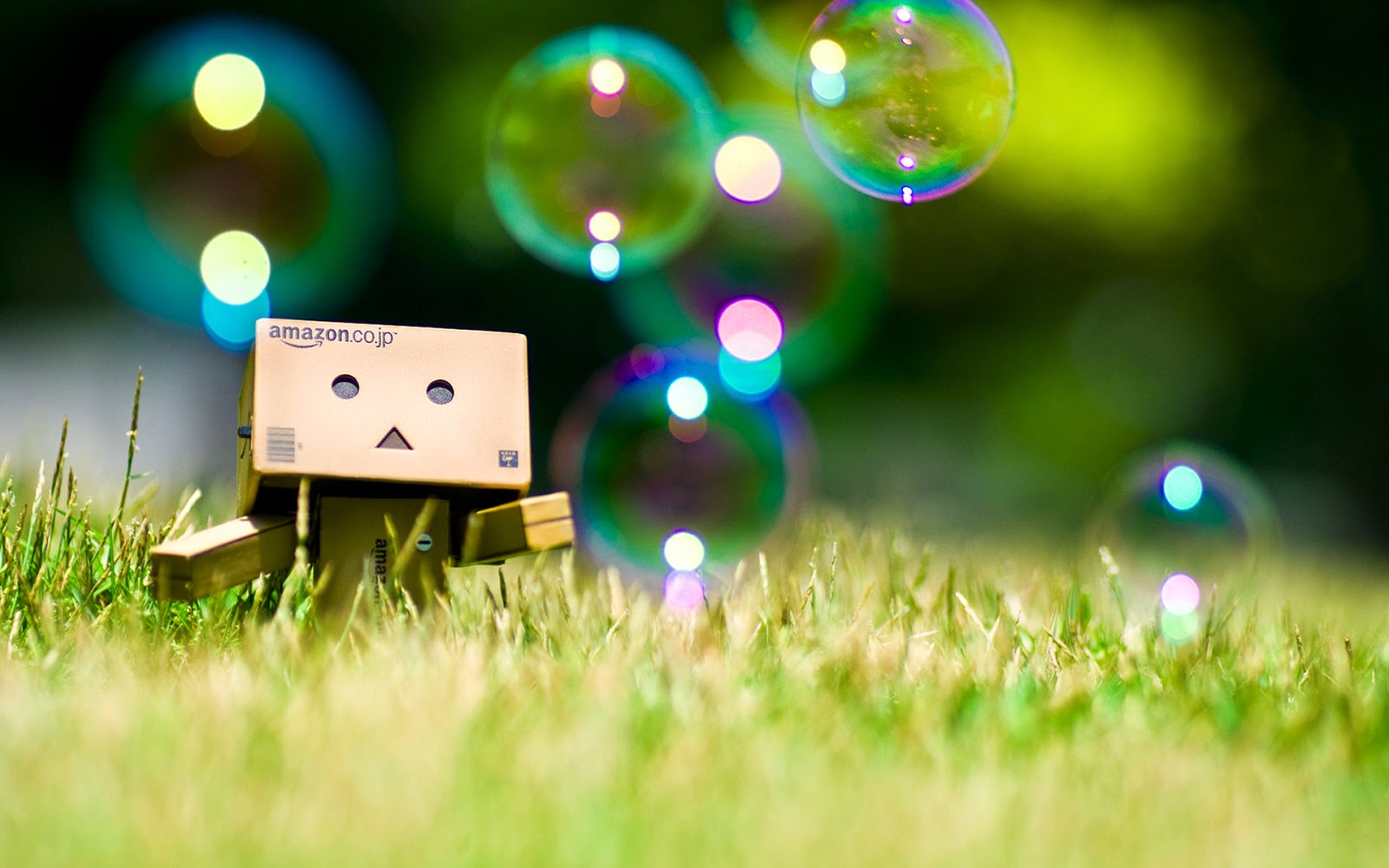 Wallpaper Atau DP BBM Danbo HD Khusus Android 2015