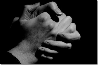 6597784373_4d82ebb52a_b