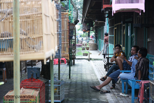 Pasar Satwa dan Tanaman Hias Yogyakarta, PASTY