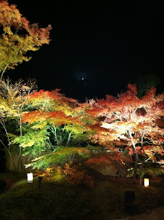 Japan, Matsushima, Autumn, Fall, 松島, 紅葉