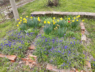 The Tortoise Garden looking great