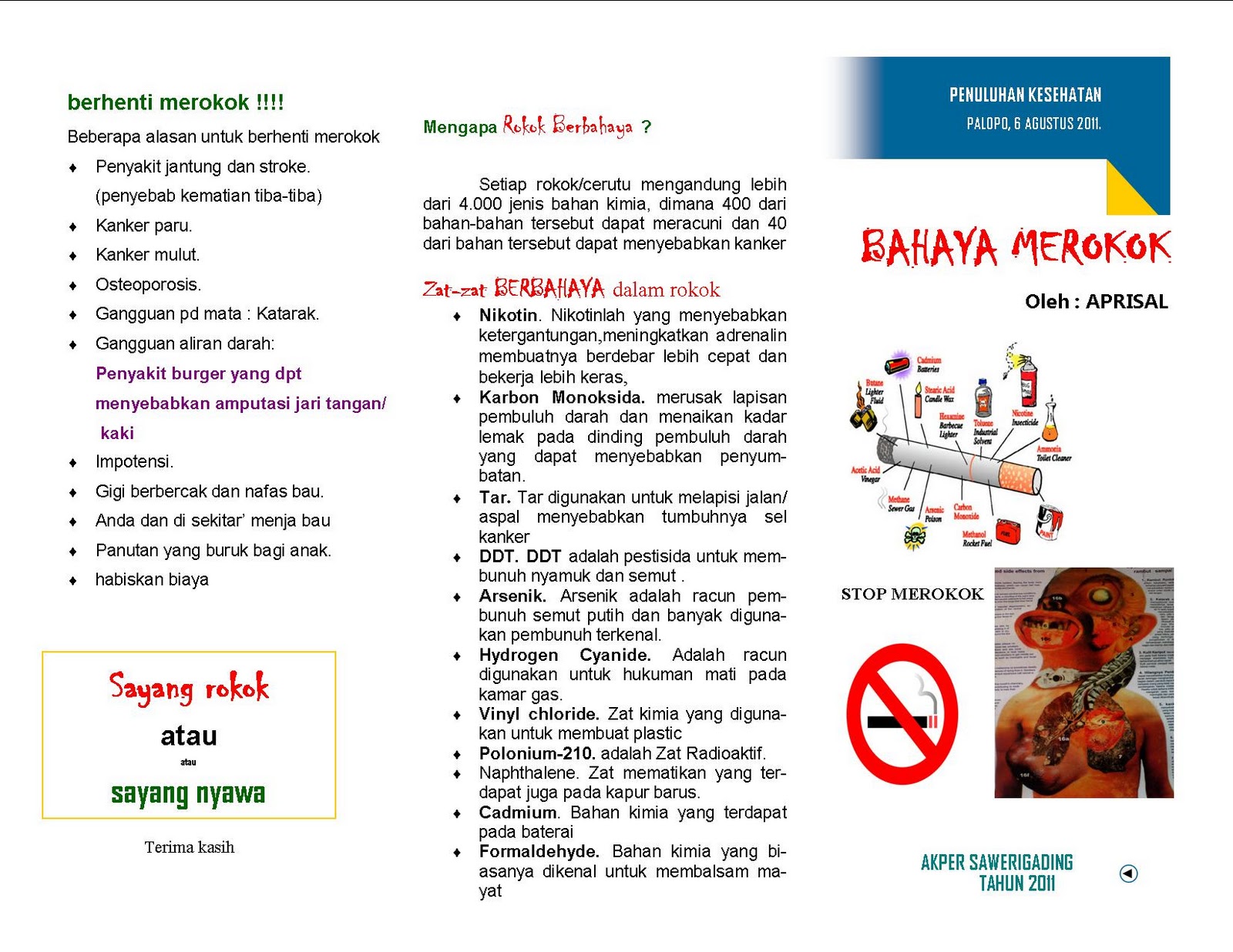 LEAFLET KESEHATAN  HEALTH INFOKU - Keperawatan