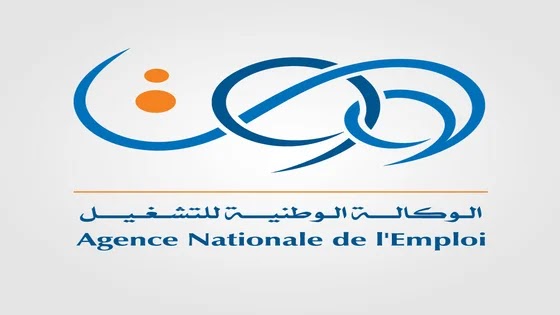 الوكالة الوطنية للتشغيل: تسجيل طالبي العمل الجدد من خلال تقنية المحادثة عن بعد ANEM