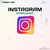 Instagram Video Downloader