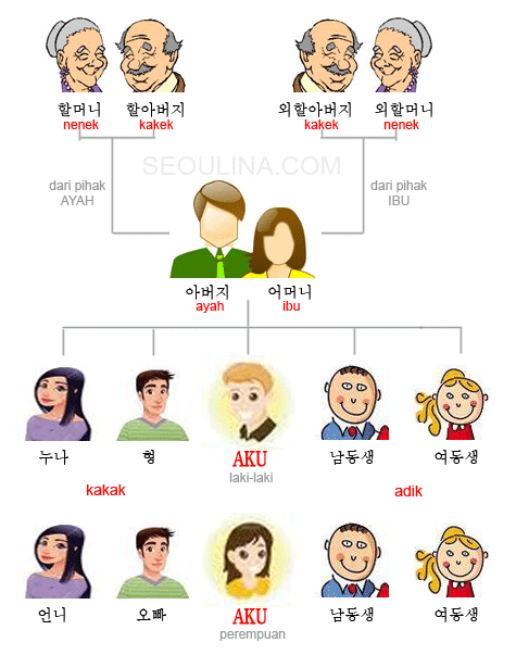 Nama Anggota Keluarga  Dalam  Bahasa  Korea