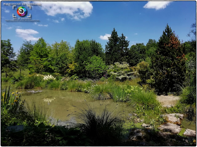 GELAUCOURT (54) - Jardin d'eau de l'Aubepré