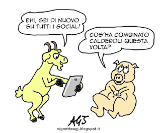 Calderoli, emendamenti, social network, satira vignetta