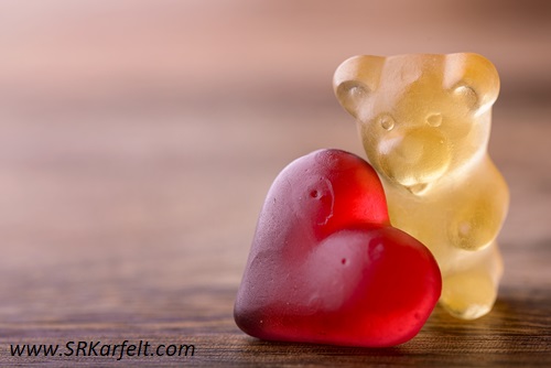 Taking Care of Gummy, S.R. Karfelt,