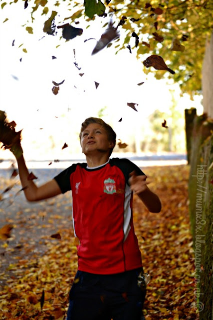 Autumn and throwing leaves @ ups and downs smiles and frowns.