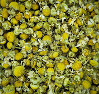 Chamomile