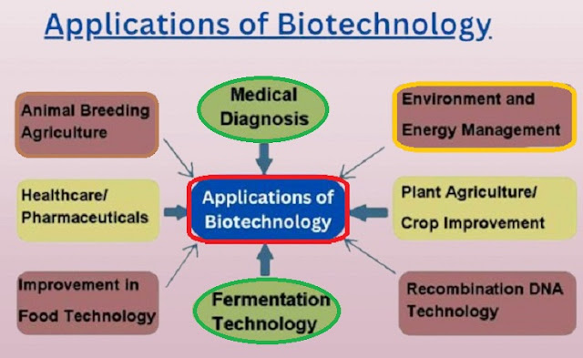 application_of_biotechnology