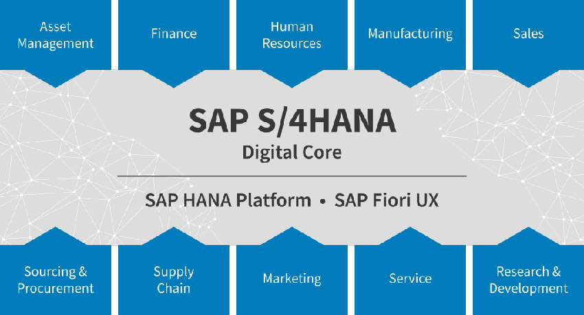 Giải pháp phần mềm SAP S/4HANA cho doanh nghiệp.