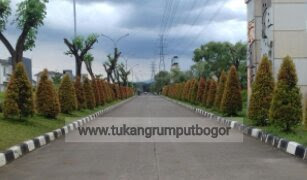 www.tukangrumputbogor.com