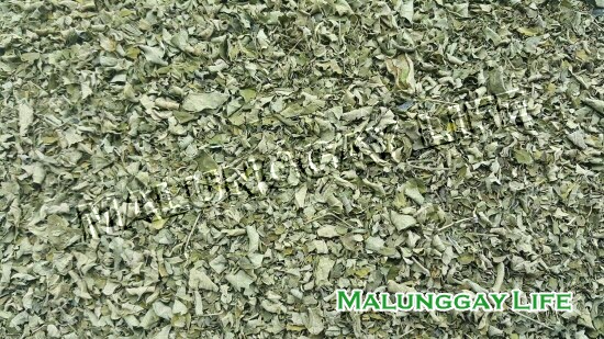 dried-moringa-leaves