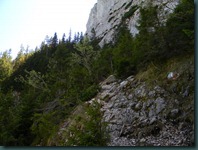 DSCN5681