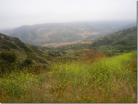 CIMG0224