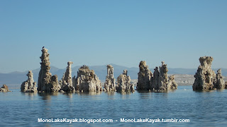 Mono Lake Tufa Towers with Osprey on them