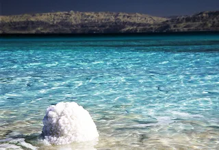 Lições do Mar Morto