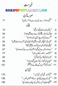 Putli Packing Ki Free Download Urdu Safarnama by Mustansar Hussain Tarar PDF
