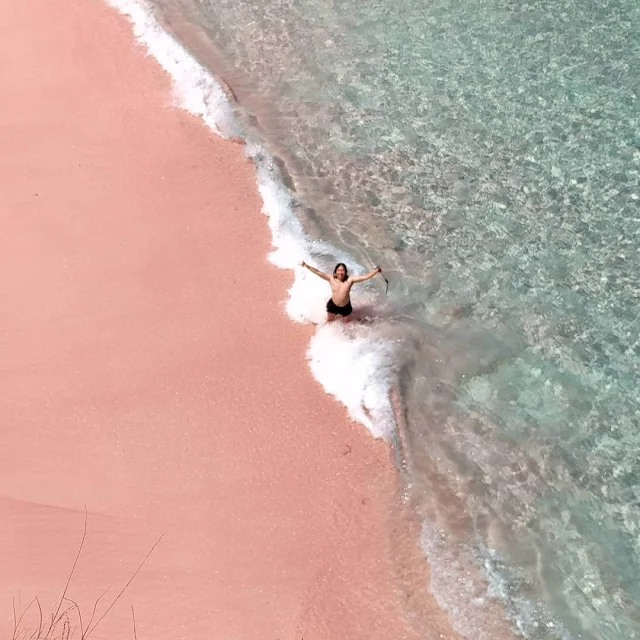 foto pantai pink lombok timur