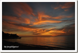 DSC_0371-copy