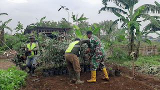 Subsektor Oxbow Sektor 6 Satgas Citarum Harum Melaksanakan Perawatan Bibit Buah Buahan dan Bibit Pohon Kayu secara berkelanjutan