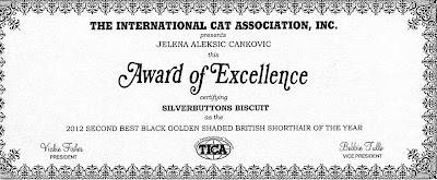 TICA Award of Excellence for the second best blabk golden shaded British shorthair of the year 2012