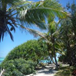 View album