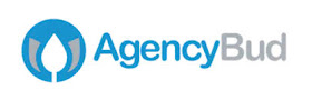 AGENCY BUD REVIEW AND BONUSES