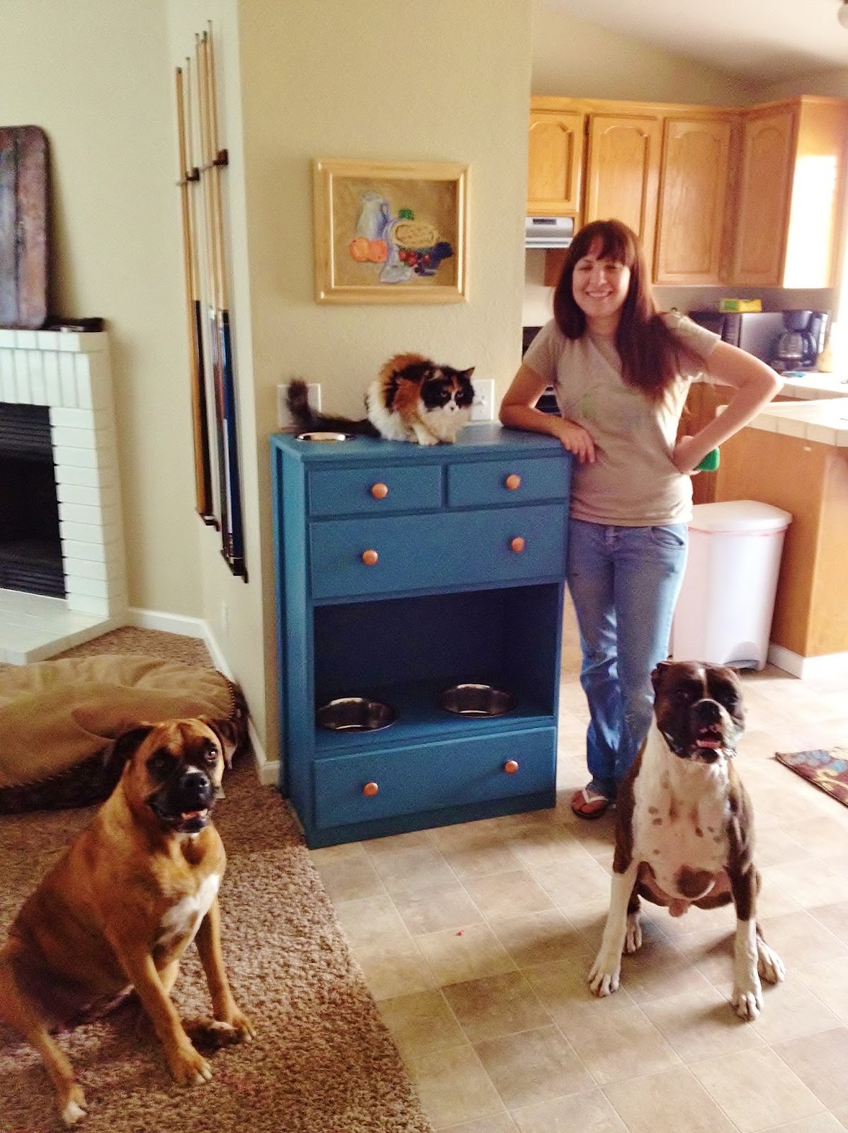 Crafty Wife! Crafty Life!: DIY Pet Feeding Station
