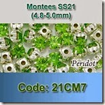21CM7 copy