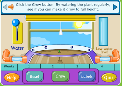 http://www.bbc.co.uk/schools/scienceclips/ages/5_6/growing_plants_fs.shtml