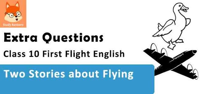 Chapter 3 Two Stories about Flying Important Questions Class 10 First Flight English