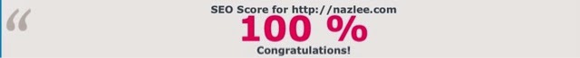 SEO score for http://www.nazlee.com