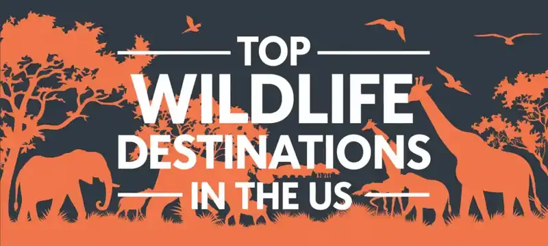 Family Zoo Guide: Exploring America's Top Wildlife Destinations