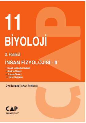 Çap 11. Sınıf Biyoloji 3. Fasikül İnsan Fizyolojisi 2 PDF indir