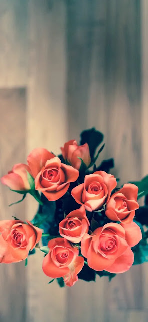 خلفيات روز للجوال خلفيات روز للجوال