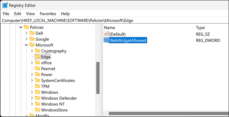 7-Registry-Editor-WebWidgetAllowed