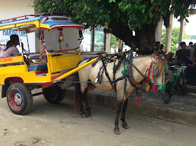 gili carriage horse on gill t indonesia