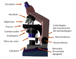 partes de un microscopio