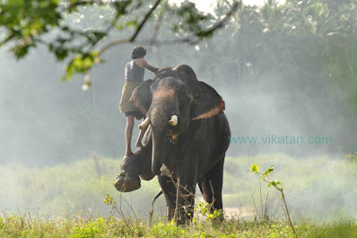 kumki movie still 1