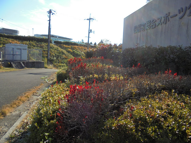 伯耆町総合スポーツ公園