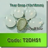 T2DH51 copy