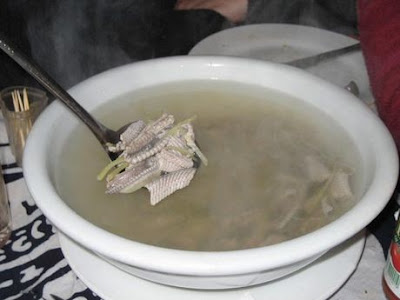 Disgusting Snake Soup Mea