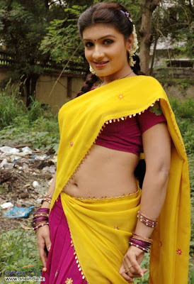 Hot And Sexy South Indian Actress in Saree