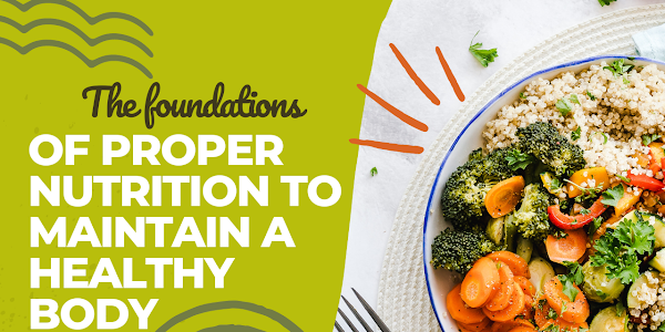 The foundations of proper nutrition to maintain a healthy body