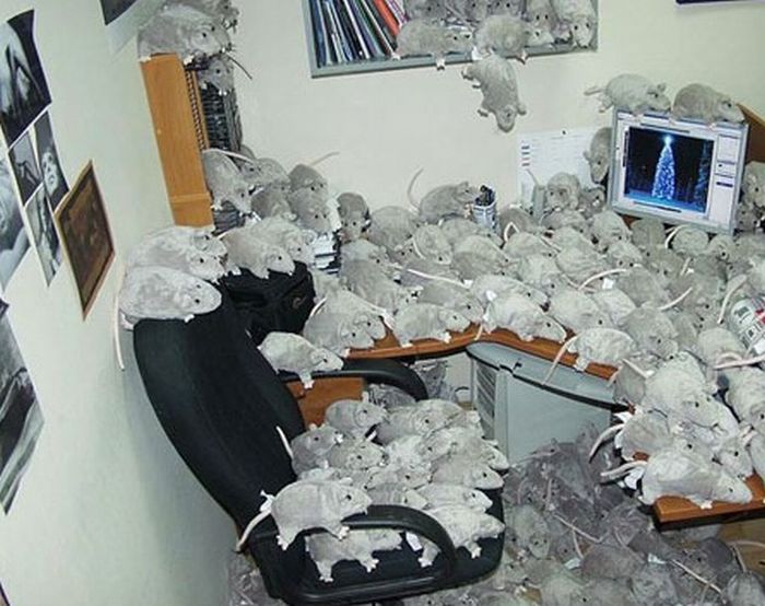 Awesome office  cubicle pranks  21 Pics Curious Funny 