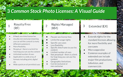 An infographic that explains the main differences between 3 common stock photo licenses: Royalty Free, Royalty Managed, and Extended.