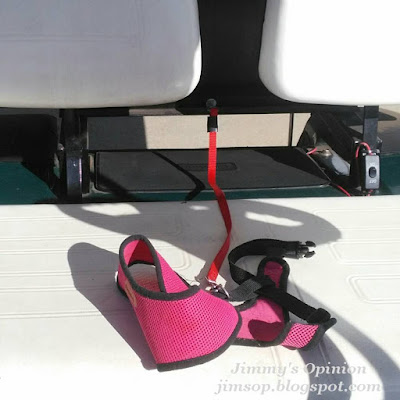 A dog leash attached to the metal frame behind a golf carts seat with a pink harness on the other end.